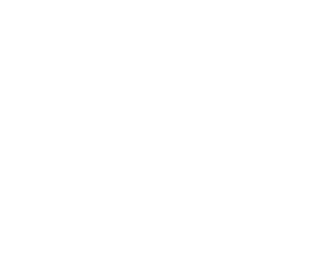 Logo 9